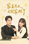 《家主夫人又犯家规了》封面