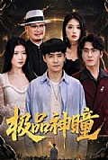 《极品神瞳》封面