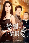 《梦醒辞旧爱》封面