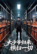 《大少爷归来,横扫一切》封面