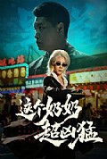 《这个奶奶超凶猛》封面
