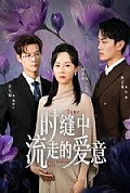 《时缝中流走的爱意》封面