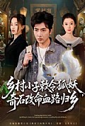 《乡村小子敕令狐妖,奇石改命血路归乡》封面