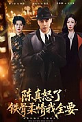 《陈真怒了铁骨柔情我全要》封面