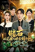 《赌石从觉醒火眼金睛开始》封面