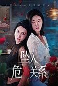 《坠入危险关系》封面