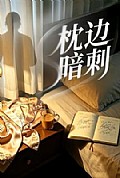 《枕边暗刺》封面