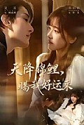 《天降锦鲤,赐我好运来》封面