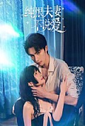 《纯恨夫妻不说爱》封面