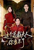 《这个总裁夫人,你当不了》封面