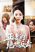 《正妻的绝地反击》封面