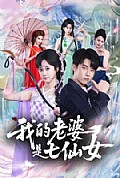 《我的老婆是七仙女》封面