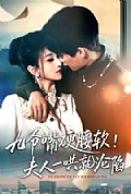 《九爷嘴硬腰软!夫人一哄就沦陷》封面