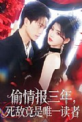 《偷情报三年，死敌竟是唯一读者》封面