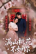 《满山桃花不如你》封面