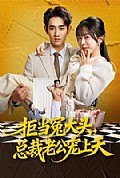 《拒当冤大头,总裁老公宠上天》封面