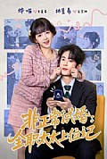 《非正常试婚:全职太太上位记》封面