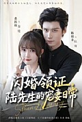 《闪婚领证,陆先生的宠妻日常》封面