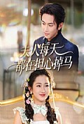 《夫人每天都在担心掉马》封面