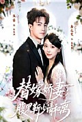 《替嫁娇妻:腹黑靳少请和离》封面