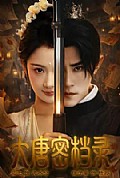 《大唐密档录》封面