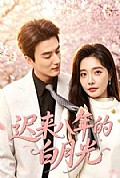 《迟来八年的白月光》封面