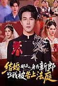 《结婚那天，身为新郎的我被告上法庭》封面