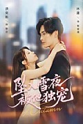 《坠入雪夜，被他独宠》封面