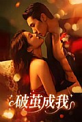 《破茧成我》封面