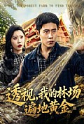 《透视，我的林场遍地黄金》封面
