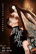 《野草焚尽》封面