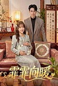 《霏霏向暖》封面