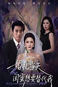 《婚礼当天，闺蜜想要替代我》封面