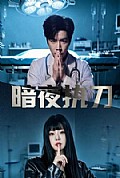 《暗夜执刀》封面