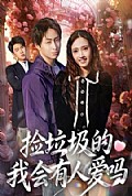 《捡垃圾的我会有人爱吗》封面