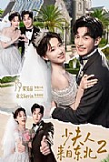 《少夫人来自东北2》封面