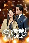 《纠缠:怀崽离婚后,前夫非要同居》封面