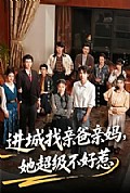 《进城找亲爸亲妈,她超级不好惹》封面
