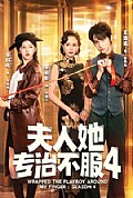 《夫人她专治不服4》封面