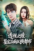 《透视之瞳:鉴宝治病纵横都市》封面
