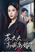 《苏太太高调离婚了》封面