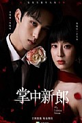 《掌中新郎》封面