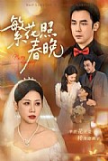 《繁花照春晚》封面