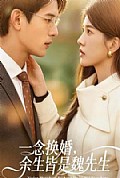 《一念换婚,余生皆是魏先生》封面