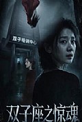 《双子座之惊魂》封面