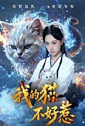 《我的猫不好惹》封面