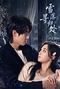 《雪落寻归处》封面