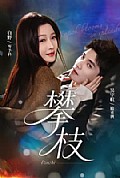《攀枝》封面