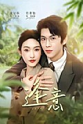 《逢意》封面