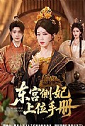 《东宫侧妃上位手册》封面